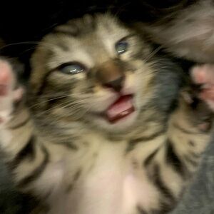 Meet your Posher, Lourdes